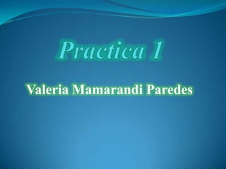 Valeria Mamarandi Paredes
 