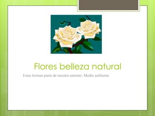Flores belleza natural
Estas forman parte de nuestro entorno. Medio ambiente

 