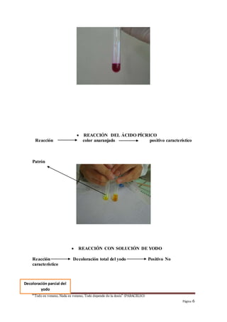 “Todo es veneno, Nada es veneno, Todo depende de la dosis” (PARACELSO)
Página 6
 REACCIÓN DEL ÁCIDO PÍCRICO
Reacción color anaranjado positivo característico
Patrón
 REACCIÓN CON SOLUCIÓN DE YODO
Reacción Decoloración total del yodo Positivo No
característico
Decoloración parcial del
yodo
 