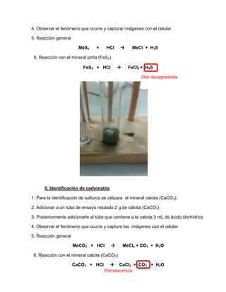 4. Observar el fenómeno que ocurre y capturar imágenes con el celular 
5. Reacción general 
MeSx + HCl  MeCl + H2S 
6. Reacción con el mineral pirita (FeS2) 
FeS2 + HCl  FeCl2 + H2S 
Olor desagradable 
II. Identificación de carbonatos 
1. Para la identificación de sulfuros se utilizara el mineral calcita (CaCO3). 
2. Adicionar a un tubo de ensayo rotulado 2 g de calcita (CaCO3) 
3. Posteriormente adicionarle al tubo que contiene a la calcita 3 mL de ácido clorhídrico 
4. Observar el fenómeno que ocurre y capture las imágenes con el celular 
5. Reacción general 
MeCO3 + HCl  MeClx + CO2 + H2O 
6. Reacción con el mineral calcita (CaCO3) 
CaCO3 + HCl  CaCl2 + CO2 + H2O 
Efervescencia 
 