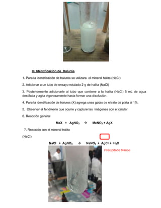 III. Identificación de Haluros 
1. Para la identificación de haluros se utilizara el mineral halita (NaCl) 
2. Adicionar a un tubo de ensayo rotulado 2 g de halita (NaCl) 
3. Posteriormente adicionarle al tubo que contiene a la halita (NaCl) 5 mL de agua 
destilada y agita vigorosamente hasta formar una disolución 
4. Para la identificación de haluros (X) agrega unas gotas de nitrato de plata al 1%. 
5. Observar el fenómeno que ocurre y capture las imágenes con el celular 
6. Reacción general 
MeX + AgNO3  MeNO3 + AgX 
7. Reacción con el mineral halita 
(NaCl) 
NaCl + AgNO3  NaNO3 + AgCl + H2O 
Precipitado blanco 
 