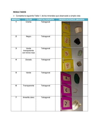 RESULTADOS 
 Completa la siguiente Tabla 1. de los minerales que observaste a simple vista 
MINERAL COLOR CRISTALOGRAFÍA OBSERVACIONES (IMAGEN) 
1 Crema Tetragonal 
2 Negro Tetragonal 
3 Verde 
transparente 
con tonos rosa 
Tetragonal 
4 Dorado Tetragonal 
5 Verde Tetragonal 
6 Transparente Tetragonal 
7 Amarillo claro Tetragonal 
 