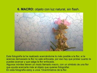 6. MACRO: objeto con luz natural, sin flash. 
Esta fotografía la he realizado acercándome lo más posible a la flor, si te 
acercas demasiado la flor no sale enfocada, por eso hay que probar cuanto te 
puedes acercar y que salga la flor enfocada. 
Algunos móviles tienen un modo llamado macro, con un símbolo de una flor 
que ayuda acercarte más al objeto que quieres fotografiar. 
En esta fotografía estoy a unos 10centímetros de la flor. 
 