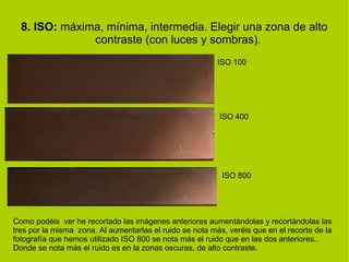 8. ISO: máxima, mínima, intermedia. Elegir una zona de alto 
contraste (con luces y sombras). 
ISO 100 
ISO 400 
ISO 800 
Como podéis ver he recortado las imágenes anteriores aumentándolas y recortándolas las 
tres por la misma zona. Al aumentarlas el ruido se nota más, veréis que en el recorte de la 
fotografía que hemos utilizado ISO 800 se nota más el ruido que en las dos anteriores.. 
Donde se nota más el ruido es en la zonas oscuras, de alto contraste. 
 