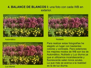4. BALANCE DE BLANCOS I: una foto con cada WB en 
exterior. 
Automático Nublado 
Luz diurna 
Para realizar estas fotografías he 
elegido un lugar con bastantes 
colores y contraste. Para exteriores 
los mejores modos de WB son los de 
Automático, Nublado y Luz diurna ya 
que si utilizamos incandescente y 
fluorescente salen tonos azules. 
La que más se acerca a la realidad 
es la de luz diurna. 
 