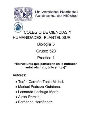 COLEGIO DE CIENCIAS Y 
HUMANIDADES, PLANTEL SUR. 
Biología 3 
Grupo: 528 
Practica 1 
“Estructuras que participan en la nutrición 
autótrofa (raíz, tallo y hoja)” 
Autores: 
 Terán Carreón Tania Michel. 
 Marisol Pedraza Quintana. 
 Leonardo Lechuga Marín. 
 Alexa Peralta. 
 Fernanda Hernández. 
 