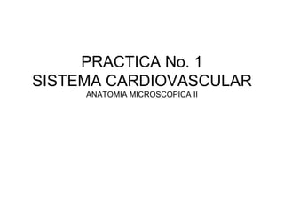 PRACTICA No. 1 
SISTEMA CARDIOVASCULAR 
ANATOMIA MICROSCOPICA II 
 