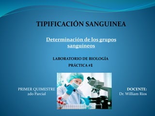 TIPIFICACIÓN SANGUINEA
Determinación de los grupos
sanguíneos
LABORATORIO DE BIOLOGÍA
PRÁCTICA #1
DOCENTE:
Dr. William Ríos
PRIMER QUIMESTRE
2do Parcial
 