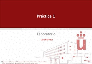 Práctica 1 Laboratorio David Miraut 