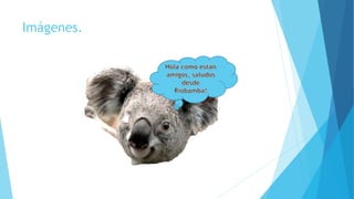 Imágenes.
 