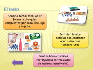 Sentido táctil: tablillas de
     forma rectangular
compuestas por papel liso, lija
          y tejidos.

                                         Sentido térmico:
                                       botellas que contienen
                                          agua a diversas
                                           temperaturas


                          Sentido bárico: tablillas
                        rectangulares en tres clases
                         de maderas (nogal y pino).
 