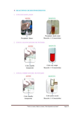  REACCIONES DE RECONOCIMIENTO 
1. CON LOS NaOH y KOH 
ANTES DESPUÉS 
Precipitado blanco 
Precipitado pardo rojizo 
Reacción (+) Característica 
2. CON EL SULFOCIANURO DE POTASIO 
ANTES DESPUÉS 
Reacción (+) Característica 
Color amarillo 
transparente 
3. CON EL FERRICIANURO DE POTASIO 
Color rojo sangre 
ANTES DESPUÉS 
Color pardo oscuro 
Reacción (+) Característica 
Color amarillo 
transparente 
“Todo es veneno, Nada es veneno, Todo depende de la dosis“ Página 5 
 
