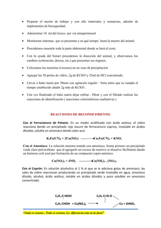 • Preparar el mesón de trabajo y con ello materiales y sustancias, además de
implementos de bioseguridad.
• Administrar 10 ml del tóxico por vía intraperitoneal
• Monitorear síntomas que se presentan y en qué tiempo hasta la muerte del animal
• Procedemos rasurarle toda la parte abdominal donde se hará el corte.
• Con la ayuda del bisturí procedemos la disección del animal, y observamos los
cambios (coloración, dureza, etc.) que presentan sus órganos.
• Colocamos las muestras (vísceras) en un vaso de precipitación
• Agregar las 50 perlas de vidrio, 2g de KClO3 y 25ml de HCl concentrado.
• Llevar a baño maría por 30min con agitación regular : 5min antes que se cumpla el
tiempo establecido añadir 2g más de KClO3 .
• Una vez finalizado el baño maría dejar enfriar , filtrar y con el filtrado realizar las
reacciones de identificación ( reacciones colorimétricas cualitativas )
REACCIONES DE RECONOCIMIENTO.
Con el Ferrocianuro de Potasio: En un medio acidificado con ácido acético, el cobre
reacciona dando un precipitado rojo oscuro de ferrocianuro cúprico, insoluble en ácidos
diluidos, soluble en amoniaco dando color azul.
K4Fe(CN)6 + 2Cu(NO3) Cu2Fe(CN)6 + KNO3
Con el Amoniaco: La solución muestra tratada con amoniaco, forma primero un precipitado
verde claro pulverulento que al agregarle un exceso de reactivo se disuelve fácilmente dando
un hermoso colr azul por formación de un compuesto cupro-amónico.
Cu(NO3)2 + 4NH3 Cu(NH3)4 . (NO3)2
Con el Cuprón: En solución alcoholica al 1 % al que se le adiciona gotas de amoniaco, las
sales de cobre reaccionan produciendo un precipitado verde insoluble en agua, amoniaco
diluido, alcohol, ácido acético, soluble en ácidos diluidos y poco solubles en amoniaco
concentrado.
C6H5-C=NOH C6H5-C=N-O
C6H5-CHOH + Cu(NO3)2 Cu + 2HNO3
“Nada es veneno , Todo es veneno, La diferencia esta en la dosis”
 