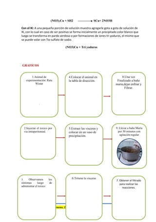(NO3)2Cu + SH2 SCu+ 2NO3H
Con el IK: A una pequeña porción de solución muestra agregarle gota a gota de solución de
IK, con lo cual en caso de ser positivo se forma inicialmente un precipitado color blanco que
luego se transforma en pardo verdoso o por formaciones de iones tri yoduros, el mismo que
se puede volar con Tio sulfato de sodio.
(NO3)Cu + Tri yoduros
GRAFICOS
“Nada es veneno , Todo es veneno, La diferencia esta en la dosis”
2.Inyectar el toxico por
via intraperitoneal.
1.Animal de
experimentación: Rata
Wistar
.
3. Observamos los
síntomas luego de
administrar el toxico
4.Colocar el animal en
la tabla de disección.
6.Triturar la visceras
5.Extraer las visceras y
colocar en un vaso de
precipitación.
7. Obtener el filtrado
para realizar las
reacciones.
8.Una vez
Finalizado a baño
maria,dejar enfriar y
Filtrar.
9. Llevar a baño María
por 30 minutos con
agitación regular
 