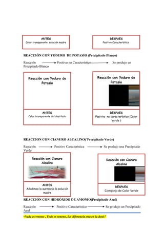 Reacción con Cianuro
Alcalino
REACCIÓN CON YODURO DE POTASIO (Precipitado Blanco)
Reacción Positivo no Característico Se produjo un
Precipitado Blanco
REACCION CON CIANURO ALCALINO(´Precipitado Verde)
Reacción Positivo Característica Se produjo una Precipitado
Verde
REACCIÓN CON HIDRÓXIDO DE AMONIO(Precipitado Azul)
Reacción Positivo Característico Se produjo un Precipitado
Azul
“Nada es veneno , Todo es veneno, La diferencia esta en la dosis”
Reacción con Yoduro de
Potasio
ANTES
Color transparente del destilado
Reacción con Yoduro de
Potasio
DESPUES
Positivo no característico (Color
Verde )
Reacción con Cianuro
Alcalino
ANTES
Añadimos la sustancia la solución
madre
DESPUES
Complejo de Color Verde
ANTES
Color transparente solución madre
DESPUES
Positivo Característico
 