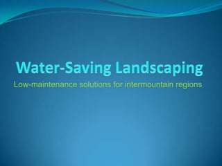 Low-maintenance solutions for intermountain regions

 