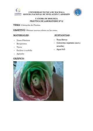 UNIVERSIDAD TECNICA DE MACHALA
SISTEMA NACIONAL DE NIVELACIÓN Y ADMISIÓN
CATEDRA DE BIOLOGIA
PRÁCTICA DE LABORATORIO N°12

TEMA: Coloración de Plantas.
OBJETIVO: Obtener nuevos colores en las rosas.
MATERIALES:

SUSTANCIAS:

-

Vasos Plásticos

-

Rosa Blanca

-

Recipientes.

-

Colorantes vegetales (azul y

-

Tijera

-

Estilete o cuchillo

-

Agitador

GRÁFICO:

amarilla).
-

Agua H2O

 