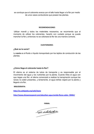se concluye que el colorante avanzo por el tallo hasta llegar a la flor por medio
de unos vasos conductores que poseen las plantas.

RECOMENDACIONES
Utilizar mandil y todos los materiales necesarios, se recomienda que al
momento de utilizar los colorantes, hacerlo con cuidado porque se puede
manchar la flor y entonces no se coloreara la flor de una manera correcta.

CUESTIONARIO:
¿Qué es la savia?
La savia es el fluido o líquido transportado por los tejidos de conducción de las
plantas.

¿Cómo llega el colorante hasta la flor?
El xilema es el sistema de tubos de transporte y es responsable por el
movimiento del agua y los nutrientes por la planta. Cuando tiñes el agua con
que riegas una flor, el xilema comenzará a realizar la transpiración aunque las
raíces no estén presentes, y lentamente, el agua teñida viajará por la planta y
llegará a la flor.
BIBLIOGRAFIA:
http://es.wikipedia.org/wiki/Savia
http://www.ehowenespanol.com/absorben-agua-tenida-flores-sobre_99401/

FIRMA:

 