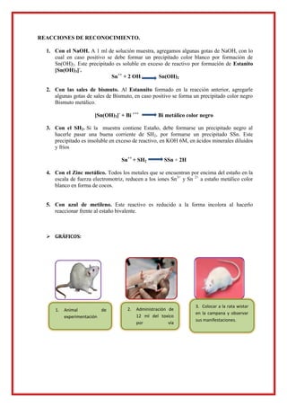 REACCIONES DE RECONOCIMIENTO.
1. Con el NaOH. A 1 ml de solución muestra, agregamos algunas gotas de NaOH, con lo
cual en caso positivo se debe formar un precipitado color blanco por formación de
Sn(OH)2. Este precipitado es soluble en exceso de reactivo por formación de Estanito
[Sn(OH)3]-
.
Sn++
+ 2 OH Sn(OH)2
2. Con las sales de bismuto. Al Estannito formado en la reacción anterior, agregarle
algunas gotas de sales de Bismuto, en caso positivo se forma un precipitado color negro
Bismuto metálico.
[Sn(OH)3]-
+ Bi +++
Bi metálico color negro
3. Con el SH2. Si la muestra contiene Estaño, debe formarse un precipitado negro al
hacerle pasar una buena corriente de SH2, por formarse un precipitado SSn. Este
precipitado es insoluble en exceso de reactivo, en KOH 6M, en ácidos minerales diluidos
y fríos
Sn++
+ SH2 SSn + 2H
4. Con el Zinc metálico. Todos los metales que se encuentran por encima del estaño en la
escala de fuerza electromotriz, reducen a los iones Sn3+
y Sn 2+
a estaño metálico color
blanco en forma de cocos.
5. Con azul de metileno. Este reactivo es reducido a la forma incolora al hacerlo
reaccionar frente al estaño bivalente.
 GRÁFICOS:
2. Administración de
12 ml del toxico
por vía
intraperitoneal
3. Colocar a la rata wistar
en la campana y observar
sus manifestaciones.
1. Animal de
experimentación
 