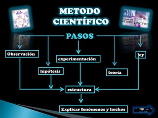 PASOSS

Observación                                             ley
                      experimentación

              hipótesis                      teoría


                            estructura



                          Explicar fenómenos y hechos
 