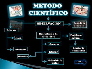OBSERVACIÓNS             Base de la
                                              solución
Debe ser
                      Recopilación de
                                            Problema
                        datos sobre
       clara                                 natural

                             observar

      numerosa                               Despierta
                              tabular        curiosidad

           ordenar
                             Selección de
                                datos
 