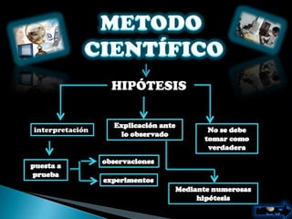 HIPÓTESIS
                     S


interpretación
 