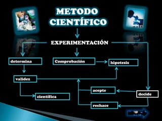 EXPERIMENTACIÓN


determina            Comprobación             hipotesis



  validez

                                    acepte
                                                          decide
            científica

                                    rechace
 