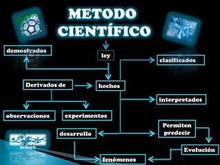 demostrados
                             ley
                                          clasificados



     Derivados de            hechos

                                          interpretados

observaciones    experimentos
                                           Permiten
                desarrollo                 predecir

                                                  Evolución
                              fenómenos
 
