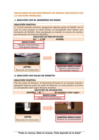 “Todo es veneno, Nada es veneno, Todo depende de la dosis“
REACCIONES DE RECONOCIMIENTO EN MEDIOS BIOLÓGICOS CON
LA SOLUCIÓN PROBLEMA:
1. REACCIÓN CON EL HIDRÓXIDO DE SODIO:
REACCIÓN POSITIVA
A 1 ml de solución muestra, agregamos algunas gotas de NaOH, con lo
cual en caso positivo se debe formar un precipitado color blanco por
formación de Sn(OH)2. Este precipitado es soluble en exceso de reactivo
por formación de Estanito [Sn(OH)3]-.
REACCIÓN DE PRECIPITACIÓN:
Sn++ + 2 OH Sn(OH)2
2. REACCIÓN CON SALES DE BISMUTO:
REACCIÓN POSITIVA
Con las sales de bismuto. Al Estannito formado en la reacción anterior,
agregarle algunas gotas de sales de Bismuto, en caso positivo se forma
un precipitado color negro Bismuto metálico.
REACCIÓN DE COLORACIÓN:
[Sn(OH)3]- + Bi +++ Bi metálico color negro
RESULTADO:
Positivo no característico
ANTES:
Reacción de Coloración
DESPÚES RESULTADO:
Positivo característico
(Precipitado blanco)
ANTES
Reacción de coloración:
DESPÚES RESULTADO:
Positivo no característico
RESULTADO:
Positivo Característico
(Precipitado blanco)
 