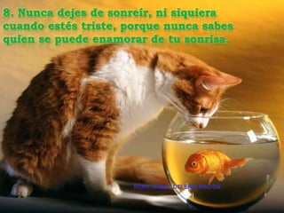 8. Nunca dejes de sonreír, ni siquiera cuando estés triste, porque nunca sabes quien se puede enamorar de tu sonrisa.NORA ISABEL DELERIN RINCON
