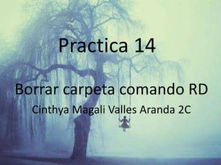 Practica 14
Borrar carpeta comando RD
Cinthya Magali Valles Aranda 2C
 