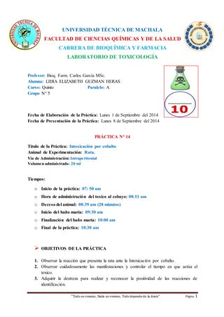 UNIVERSIDAD TÉCNICA DE MACHALA 
FACULTAD DE CIENCIAS QUÍMICAS Y DE LA SALUD 
CARRERA DE BIOQUÍMICA Y FARMACIA 
LABORATORIO DE TOXICOLOGÍA 
Profesor: Bioq. Farm. Carlos García MSc. 
Alumna: LIDIA ELIZABETH GUZMAN HERAS 
Curso: Quinto Paralelo: A 
Grupo N° 5 
Fecha de Elaboración de la Práctica: Lunes 1 de Septiembre del 2014 
Fecha de Presentación de la Práctica: Lunes 8 de Septiembre del 2014 
PRÁCTICA N° 14 
Título de la Práctica: Intoxicación por cobalto 
Animal de Experimentación: Rata. 
Vía de Administración: Intraperitonial 
Volumen administrado: 20 ml 
“Todo es veneno, Nada es veneno, Todo depende de la dosis“ Página 1 
Tiempos: 
o Inicio de la práctica: 07: 50 am 
o Hora de administración del toxico al cobayo: 08:11 am 
o Deceso del animal: 08:39 am (28 minutos) 
o Inicio del baño maría: 09:30 am 
o Finalización del baño maría: 10:00 am 
o Final de la práctica: 10:30 am 
 OBJETIVOS DE LA PRÁCTICA 
1. Observar la reacción que presenta la rata ante la Intoxicación por cobalto. 
2. Observar cuidadosamente las manifestaciones y controlar el tiempo en que actúa el 
toxico. 
3. Adquirir la destreza para realizar y reconocer la positividad de las reacciones de 
identificación. 
 