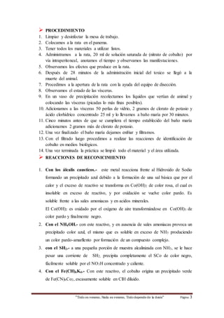  PROCEDIMIENTO 
1. Limpiar y desinfectar la mesa de trabajo. 
2. Colocamos a la rata en el panema. 
3. Tener todos los materiales a utilizar listos. 
4. Administramos a la rata, 20 ml de solución saturada de (nitrato de cobalto) por 
vía intraperitoneal, anotamos el tiempo y observamos las manifestaciones. 
5. Observamos los efectos que produce en la rata. 
6. Después de 28 minutos de la administración inicial del toxico se llegó a la 
muerte del animal. 
7. Procedimos a la apertura de la rata con la ayuda del equipo de disección. 
8. Observamos el estado de las vísceras. 
9. En un vaso de precipitación recolectamos los líquidos que vertían de animal y 
colocando las vísceras (picadas lo más finas posibles). 
10. Adicionamos a las vísceras 50 perlas de vidrio, 2 gramos de clorato de potasio y 
ácido clorhídrico concentrado 25 ml y lo llevamos a baño maría por 30 minutos. 
11. Cinco minutos antes de que se cumpliera el tiempo establecido del baño maría 
adicionamos 2 gramos más de clorato de potasio. 
12. Una vez finalizado el baño maría dejamos enfriar y filtramos. 
13. Con el filtrado luego procedimos a realizar las reacciones de identificación de 
cobalto en medios biológicos. 
14. Una vez terminada la práctica se limpió todo el material y el área utilizada. 
 REACCIONES DE RECONICIMIENTO 
1. Con los álcalis causticos.- este metal reacciona frente al Hidroxido de Sodio 
formando un precipitado azul debido a la formación de una sal básica que por el 
calor y el exceso de reactivo se transforma en Co(OH)2 de color rosa, el cual es 
insoluble en exceso de reactivo, y por oxidación se vuelve color pardo. Es 
soluble frente a las sales amoniacas y en acidos minerales. 
El Co(OH)2 es oxidado por el oxígeno de aire transformándose en Co(OH)3 de 
color pardo y finalmente negro. 
2. Con el NH4OH.- con este reactivo, y en ausencia de sales amoniacas provoca un 
precipitado color azul, el mismo que es soluble en exceso de NH3 produciendo 
un color pardo-amarllento por formación de un compuesto complejo. 
3. con el SH2.- a una pequeña porción de muestra alcalinizada con NH3, se le hace 
pesar una corriente de SH2, precipita completamente el SCo de color negro, 
fácilmente soluble por el NO3H concentrado y caliente. 
4. Con el Fe(CH)6K4.- Con este reactivo, el cobalto origina un precipitado verde 
de Fe(CN)6Co2, escasamente soluble en ClH diluido. 
“Todo es veneno, Nada es veneno, Todo depende de la dosis“ Página 3 
 