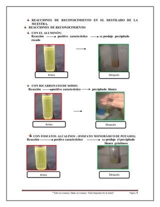 REACCIONES DE RECONOCIMIENTO EN EL DESTILADO DE LA 
MUESTRA. 
REACCIONES DE RECONOCIMIENTO 
CON EL ALUMINÓN: 
Reacción positivo característico se produjo precipitado 
rosado 
Antes Después 
CON BICARBONATO DE SODIO: 
Reacción positivo característico precipitado blanco 
Antes Después 
CON FOSFATOS ALCALINOS : (FOSFATO MONOBÁSICO DE POTASIO): 
Reacción positivo caracterisitco se produjo el precipitado 
blanco gelatinoso 
Antes Después 
“Todo es veneno, Nada es veneno, Todo depende de la dosis“ Página 4 
 