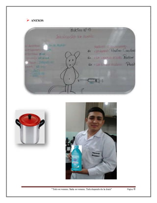 “Todo es veneno, Nada es veneno, Todo depende de la dosis“ Página 8 
 ANEXOS 
 