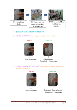 11) Filtrar y con esto 
realizar las reacciones 
de conocimiento 
 REACCIONES DE RECONOCIMIENTO 
10) Llevar a baño María 
por 30 min con 
agitación. 
1. CON EL ALUMINÓN: (debe originar: una laca color rosa claro). 
ANTES DESPUÉS 
Color rosa claro 
Reacción (+) Característica 
2. CON EL CARBONATO DE SODIO: (debe originar un:↓blanco gelatinoso de 
hidróxido de aluminio) 
ANTES DESPUÉS 
Coloración amarilla 
“Todo es veneno, Nada es veneno, Todo depende de la dosis“ Página 5 
12) Obtención del 
filtrado 
Precipitado blanco gelatinoso 
Reacción (+) Característica 
Coloración amarilla 
 