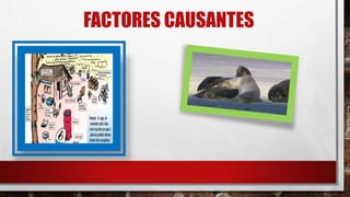 FACTORES CAUSANTES