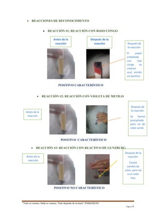 Antes de la 
reacción 
“Todo es veneno, Nada es veneno, Todo depende de la dosis” (PARACELSO) 
Después de 
la reacción: 
El papel 
embebido 
con rojo 
congo se 
coloreo 
azul, siendo 
así positivo 
Página 4 
 REACCIONES DE RECONOCIMIENTO 
 REACCIÓN #1: REACCIÓN CON ROJO CONGO 
POSITIVO CARACTERÍSTICO 
 REACCIÓN #2: REACCIÓN CON VIOLETA DE METILO 
POSITIVO CARACTERÍSTICO 
 REACCIÓN #3: REACCIÓN CON REACTIVO DE GUNZBURG 
POSITIVO NO CARACTERÍSTICO 
Antes de la 
reacción 
Después de 
la reacción: 
Se formó 
precipitado 
pero no de 
color verde 
Después de la 
reacción 
Antes de la 
reacción 
Después de la 
reacción: 
Existió 
cambio de 
color, pero no 
a un color 
rojo. 
 