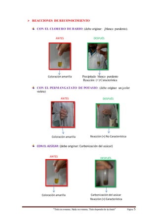 CON EL CLORURO DE BARIO: (debe originar: ↓blanco purulento). 
ANTES DESPUÉS 
Precipitado blanco purulento 
Reacción (+) Característica 
Coloración amarilla 
CON EL PERMANGATATO DE POTASIO: (debe originar un:↓color 
violeta) 
ANTES DESPUÉS 
Coloración amarilla 
Reacción C(+o)lo Nr ov iCoaleratcat erística 
CON EL AZÚCAR: (debe originar: Carbonización del azúcar) 
DESPUÉS 
Carbonización del azúcar 
 REACCIONES DE RECONOCIMIENTO 
ANTES 
Reacción (+) Característica 
Coloración amarilla 
“Todo es veneno, Nada es veneno, Todo depende de la dosis“ Página 5 
 