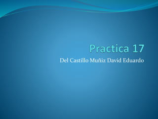 Del Castillo Muñiz David Eduardo
 