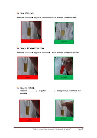 “Todo es veneno, Nada es veneno, Todo depende de la dosis“ Página 6
CON ANILINA:
Reacción negativo no se produjo coloración azul
CON SULFATO FERROSO
Reacción negativo no se produjo coloración rosada
CON EL FENOL
Reacción negativo no se produjo coloración más
amarilla
Antes Después
Después
Antes
DespuésAntes
 