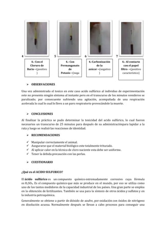 4

5
4.- Con el
Cloruro de
Bario (positivo
)

6
4.- Con
Permanganato
de
Potasio (nega
tivo)

7
4.-Carbonización
de la
azúcar (negativo
)

4.- Al contacto
con el papel
filtro (positivo
característico)

 OBSERVACIONES
Una vez administrado el toxico en este caso acido sulfúrico al individuo de experimentación
este no presento ningún síntoma al instante pero en el transcurso de los minutos venideros se
paralizado; por consecuente sufriendo una agitación, acompañada de una respiración
acelerada lo cual lo cual lo llevo a un paro respiratorio provocándole la muerte.
 CONCLUSIONES
Al finalizar la práctica se pudo determinar la toxicidad del acido sulfúrico, lo cual fueron
necesarios un transcurso de 25 minutos para después de su administraciónpara lapidar a la
rata y luego se realizó las reacciones de identidad.
 RECOMENDACIONES





Manipular correctamente el animal.
Asegurarse que el material biológico este totalmente triturado.
Al aplicar calor en la técnica de cloro naciente esta debe ser uniforme.
Tener la debida precaución con las perlas.

 CUESTIONARIO
¿Qué es el ACIDO SULFURICO?
El ácido sulfúrico es un compuesto químico extremadamente corrosivo cuya fórmula
es H2SO4. Es el compuesto químico que más se produce en el mundo, por eso se utiliza como
uno de los tantos medidores de la capacidad industrial de los países. Una gran parte se emplea
en la obtención de fertilizantes. También se usa para la síntesis de otros ácidos y sulfatos y en
la industria petroquímica.
Generalmente se obtiene a partir de dióxido de azufre, por oxidación con óxidos de nitrógeno
en disolución acuosa. Normalmente después se llevan a cabo procesos para conseguir una

 