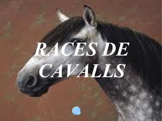 RACES DE CAVALLS 
