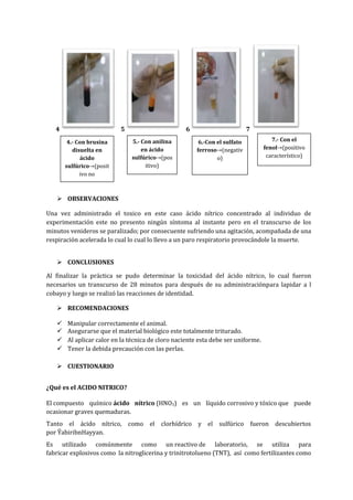 4

5
4.- Con brusina
disuelta en
ácido
sulfúrico (posit
ivo no
característico)

6
5.- Con anilina
en ácido
sulfúrico (pos
itivo)

7
6.-Con el sulfato
ferroso (negativ
o)

7.- Con el
fenol (positivo
característico)

 OBSERVACIONES
Una vez administrado el toxico en este caso ácido nítrico concentrado al individuo de
experimentación este no presento ningún síntoma al instante pero en el transcurso de los
minutos venideros se paralizado; por consecuente sufriendo una agitación, acompañada de una
respiración acelerada lo cual lo cual lo llevo a un paro respiratorio provocándole la muerte.
 CONCLUSIONES
Al finalizar la práctica se pudo determinar la toxicidad del ácido nítrico, lo cual fueron
necesarios un transcurso de 28 minutos para después de su administraciónpara lapidar a l
cobayo y luego se realizó las reacciones de identidad.
 RECOMENDACIONES





Manipular correctamente el animal.
Asegurarse que el material biológico este totalmente triturado.
Al aplicar calor en la técnica de cloro naciente esta debe ser uniforme.
Tener la debida precaución con las perlas.

 CUESTIONARIO
¿Qué es el ACIDO NITRICO?
El compuesto químico ácido nítrico (HNO3) es un líquido corrosivo y tóxico que puede
ocasionar graves quemaduras.
Tanto el ácido nítrico, como el clorhídrico y el sulfúrico fueron descubiertos
por ŶabiribnHayyan.
Es utilizado comúnmente como un reactivo de laboratorio, se utiliza para
fabricar explosivos como la nitroglicerina y trinitrotolueno (TNT), así como fertilizantes como

 