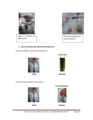 Sedeja en contacto por 
algún tiempo 
REACCIONES DE RECONOCIMIENTO 
Reactivo de Nessler : positivo no característico 
Filtrar para así obtener la 
solución problema 
Verde claro 
Antes Después 
Cloruro de níquel: positivo característico 
Verde gelatinoso 
Antes Después 
“Todo es veneno, Nada es veneno, Todo depende de la dosis” Página 4 
 
