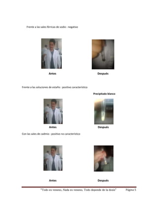 Frente a las sales férricas de sodio : negativo 
Antes Después 
Frente a las soluciones de estaño : positivo característico 
Precipitado blanco 
Antes Después 
Con las sales de cadmio : positivo no característico 
Antes Después 
“Todo es veneno, Nada es veneno, Todo depende de la dosis” Página 5 
 