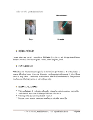 Ensayo a la llama : positivo característico 
Amarillo Intenso 
Antes Después 
OBSERVACIONES 
Hemos observado que al administrar hidróxido de sodio por vía intraperitoneal la rata 
presento síntomas como dolor agudo, vómito, edema de glotis, shock 
CONCLUSIONES 
Al final de esta práctica se concluye que la intoxicación por hidróxido de sodio produjo la 
muerte del animal en un tiempo de 8 minutos con lo que concluimos que el hidróxido de 
sodio es muy tóxico y mediante las reacciones para el reconocimiento de ésta podemos 
concluir que si hubo presencia de hidróxido de sodio 
RECOMENDACIONES 
 Utilizar el equipo de protección adecuado: bata de laboratorio, guantes, mascarilla. 
 Aplicar todas las normas de bioseguridad en el laboratorio. 
 Utilizar pipetas específicas para cada reactivo. 
 Preparar correctamente las sustancias a la concentración requerida 
“Todo es veneno, Nada es veneno, Todo depende de la dosis” Página 6 
 