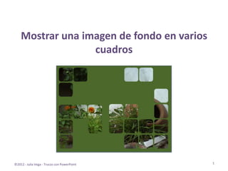 Mostrar una imagen de fondo en varios
                  cuadros




©2012 - Julia Vega - Trucos con PowerPoint   1
 