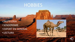 HOBBIES
•PASTELERIA
•SENDERISME
•ESPORT EN GENERAL
•LECTURA
 