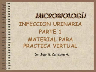 Comprehensive Guide to Urinary Tract Infection Diagnosis and Sample ...